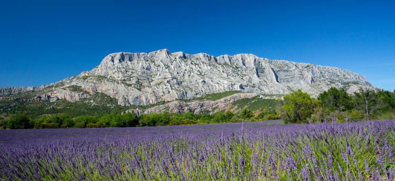 Mont Ventoux - Terrasse - Vue Degagee - Linge De Qualite - Fibre - Confort Gardanne Εξωτερικό φωτογραφία